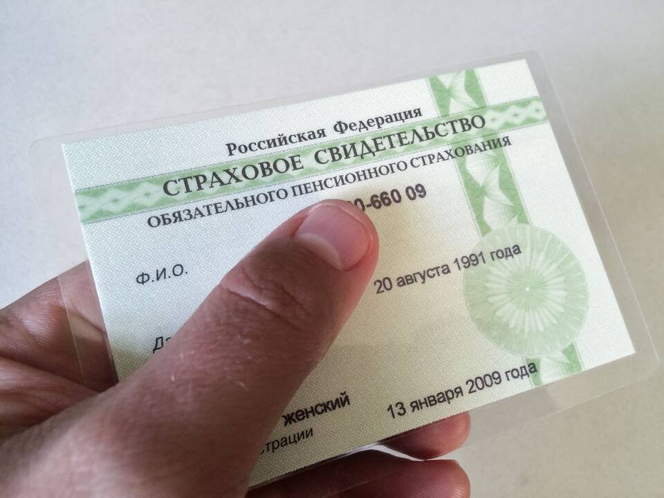 Как узнать ОСФР по ИНН