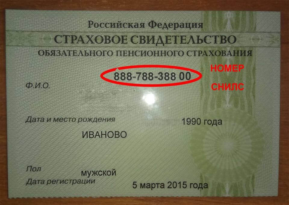 Как выглядит номер СНИЛС