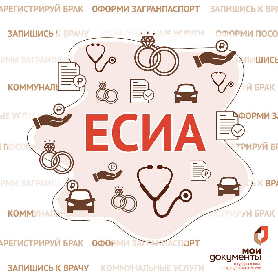 Мотивированно отказано в МФЦ: что это значит