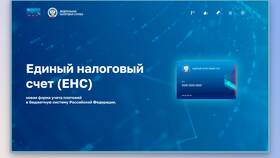 Единый налог: что включает в Кей