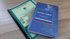 Как подать лесную декларацию в Кей