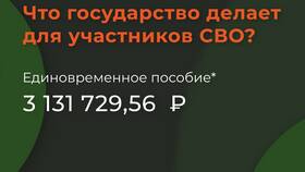 Как получить единовременную выплату участнику СВО: полная инструкция в Кей