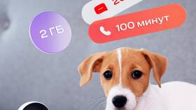 Как поменять владельца SIM-карты МТС в Кей