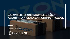 Как посмотреть продажи на Ozon в Кей