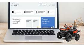 Как скачать выписку из ПТС: пошаговая инструкция в Кей