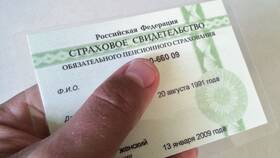 Как узнать ОСФР по ИНН в Кей