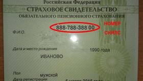 Как выглядит номер СНИЛС в Кей