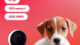 Сколько стоит SIM-карта МТС без тарифа в Кей
