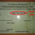 Как выглядит номер СНИЛС