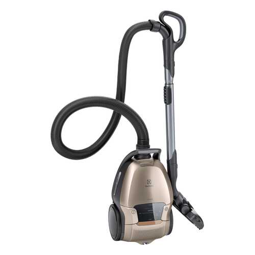 Пылесос Electrolux PD91-8SSM Gold в Кей